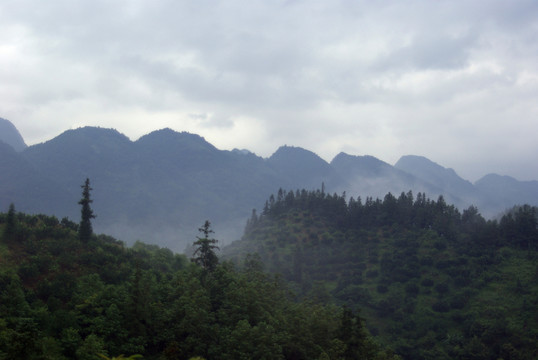 山林