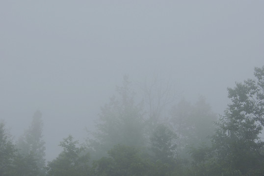 朦朧霧景