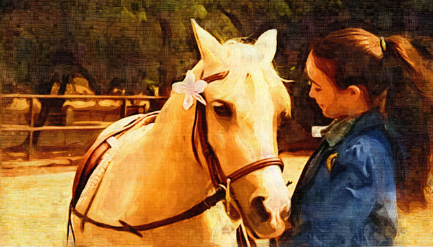 寶馬