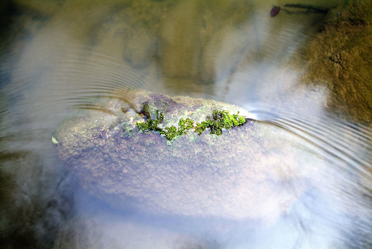 青苔流水