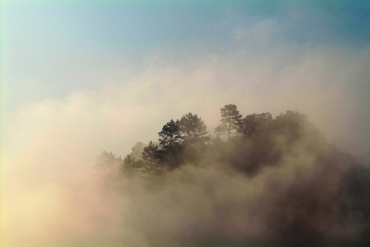 霧景