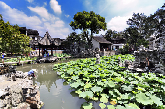 蘇州獅子林夏景