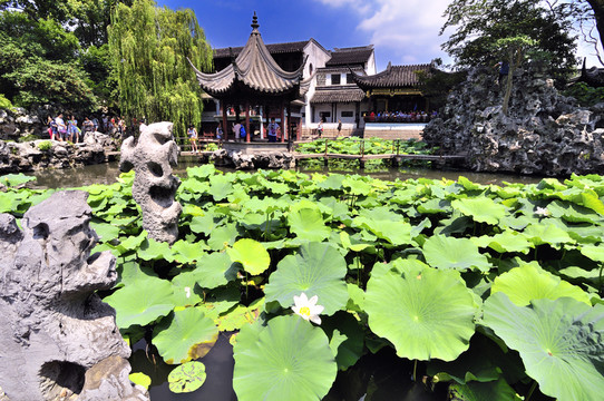 蘇州獅子林夏景
