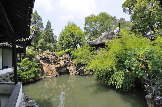 蘇州獅子林夏景