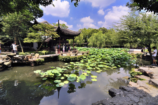 蘇州拙政園夏景