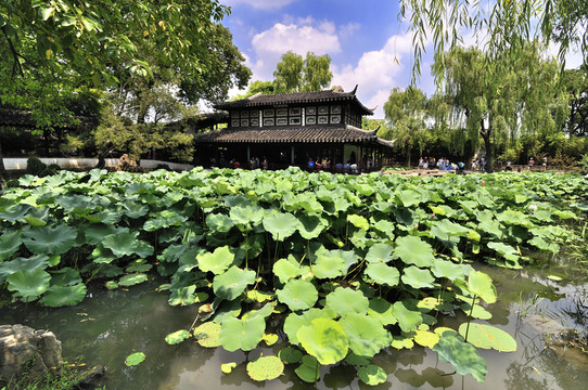 蘇州拙政園夏景