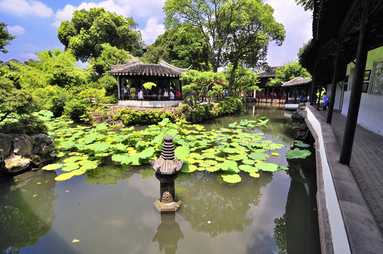 蘇州拙政園夏景