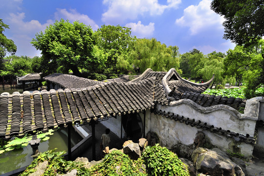 蘇州拙政園夏景