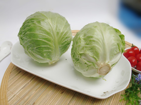 包菜