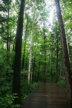長白山
