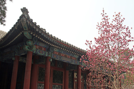 頤和園