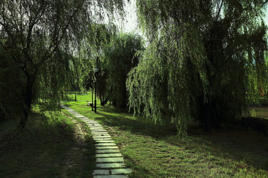 公園小道