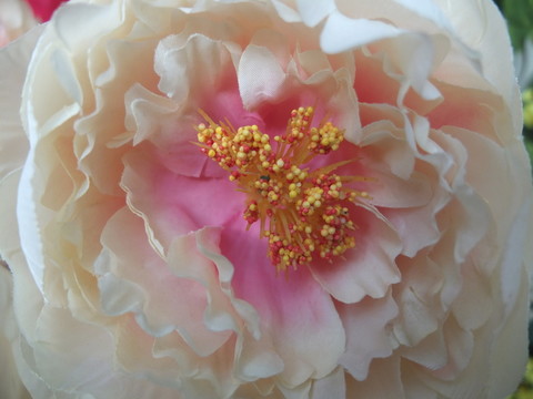 花蕊