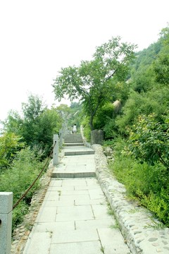 鳳凰嶺景區(qū)石山路