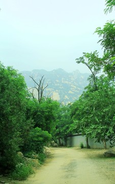 鳳凰嶺景區(qū)石山路