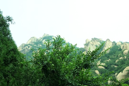 鳳凰嶺景區(qū)石山