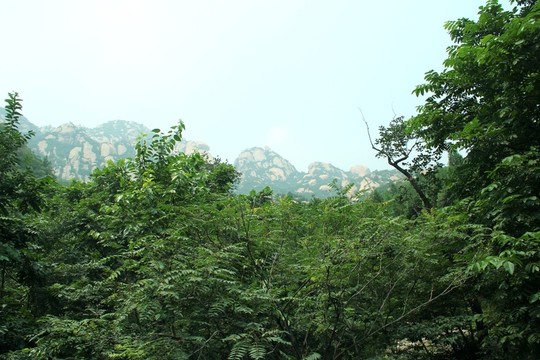 鳳凰嶺景區(qū)石山