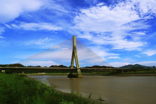 臨海三橋風景