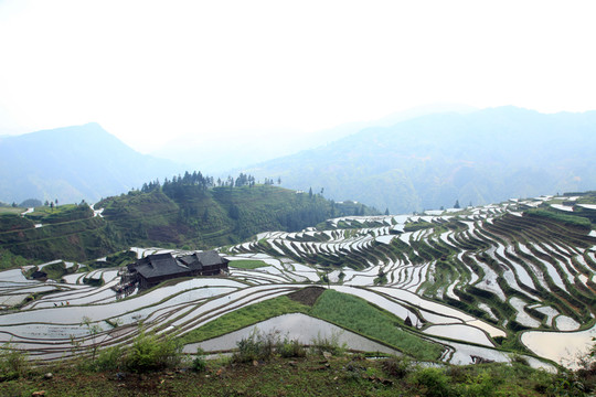 貴州梯田