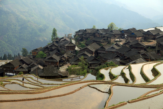 貴州梯田