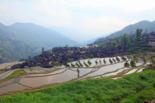 貴州梯田