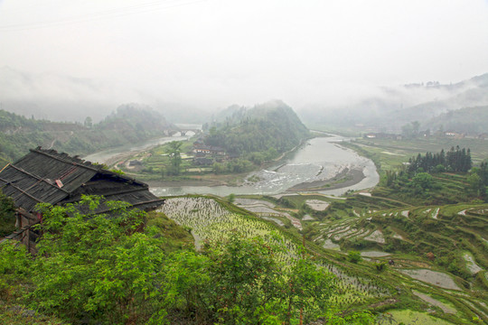 貴州梯田
