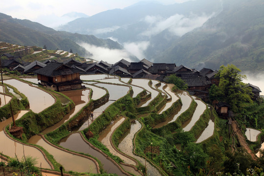 貴州梯田