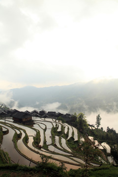 貴州梯田