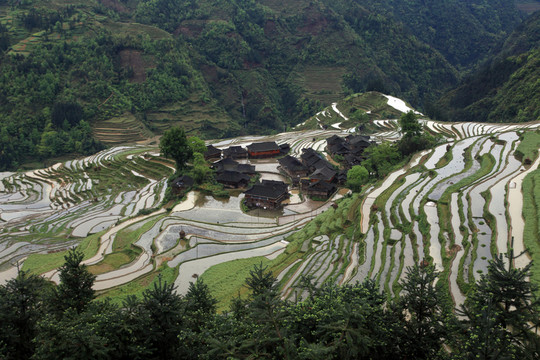 貴州梯田