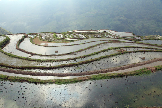 貴州梯田