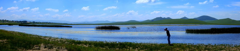 野鴨湖（接片）