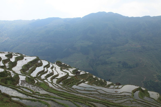 貴州梯田