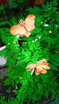 裝飾畫  花兒