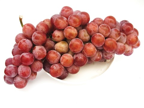 葡萄  紅提