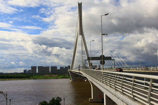 橋