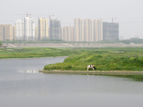 城市河畔