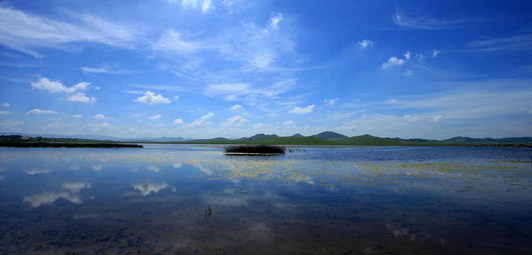 野鴨湖