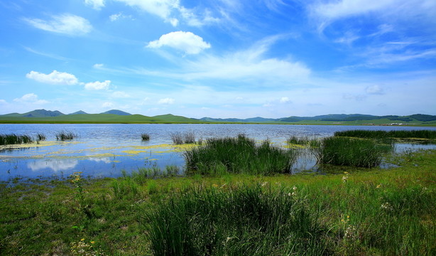 野鴨湖