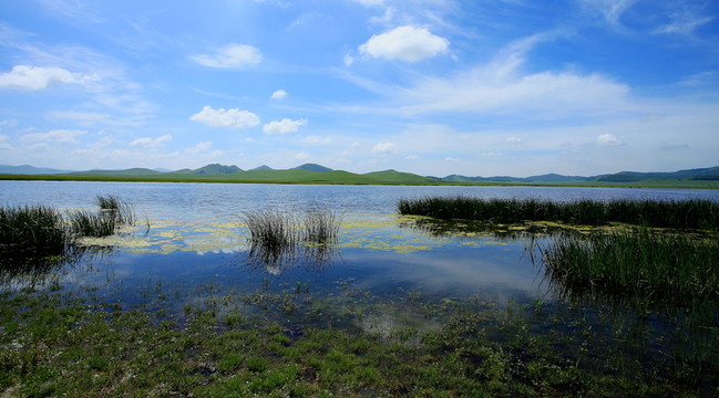 野鴨湖