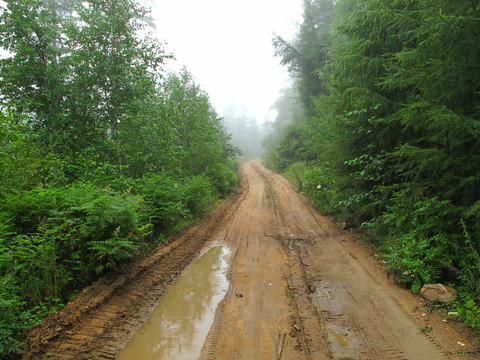 森林山路