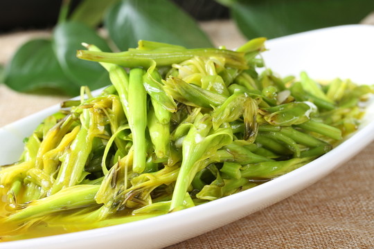 黃花菜