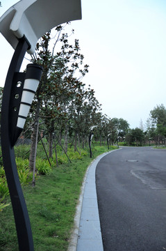 太陽能路燈
