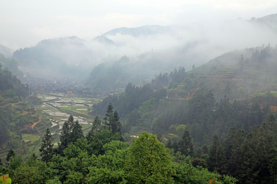 梯田