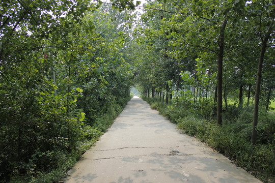 鄉(xiāng)間小路