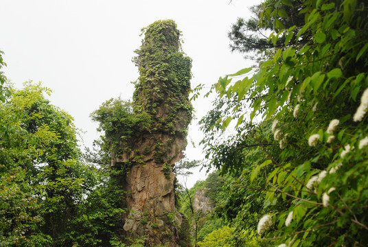 奇峰