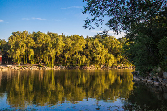 麗江風(fēng)景