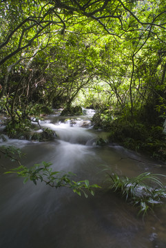 小溪流淌