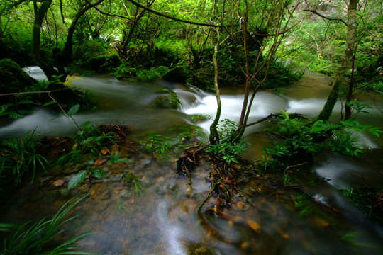 小溪流水