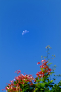 日月同在