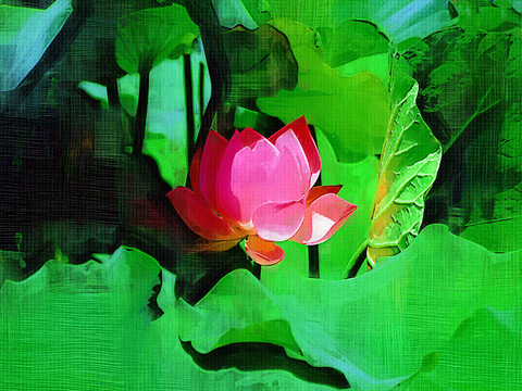 裝飾畫 荷花